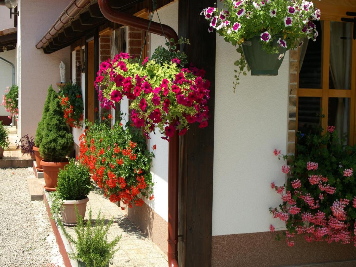 Bed & Breakfast Helena Bed & Breakfast Grabovac  Exterior foto