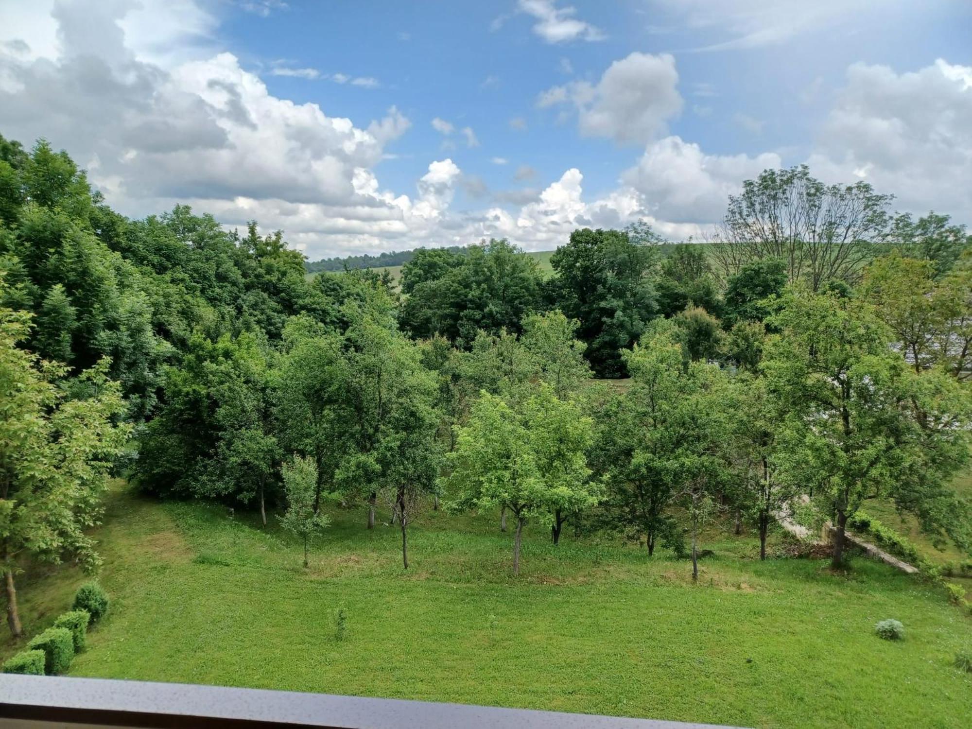 Bed & Breakfast Helena Bed & Breakfast Grabovac  Exterior foto